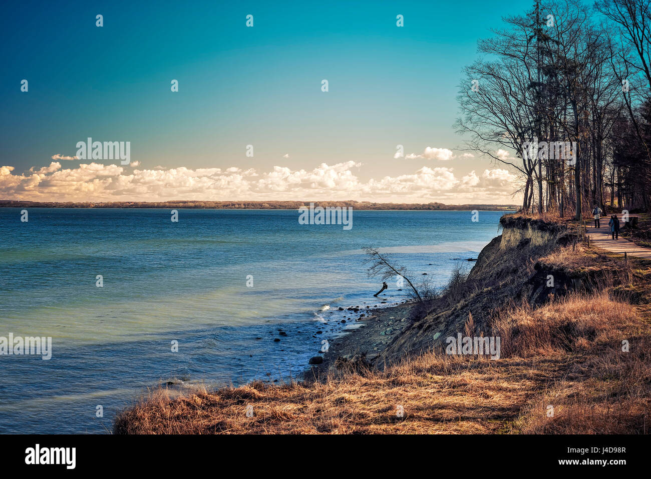 Brodtener Steilufer sur la mer Baltique au Schleswig - Holstein, Ostholstein, Allemagne, Europe, Brodtener Steilufer an der Ostsee dans Schlesw, Ostholstein Banque D'Images