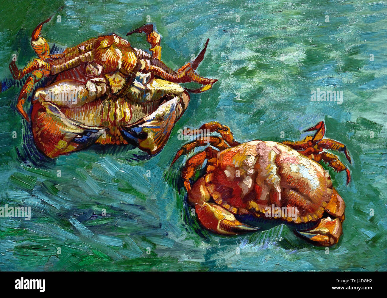 Deux crabes 1889 Vincent van Gogh 1853- 1890 Le Néerlandais Pays-Bas Banque D'Images