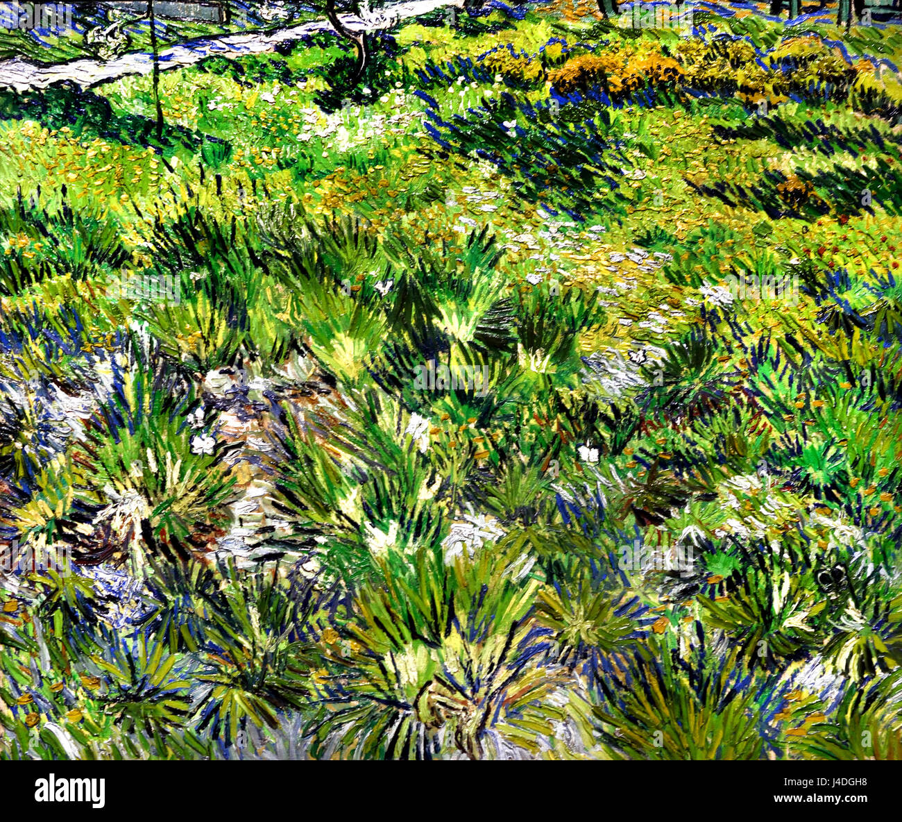 L'herbe longue avec les papillons 1890 Vincent van Gogh 1853- 1890 Le Néerlandais Pays-Bas Banque D'Images
