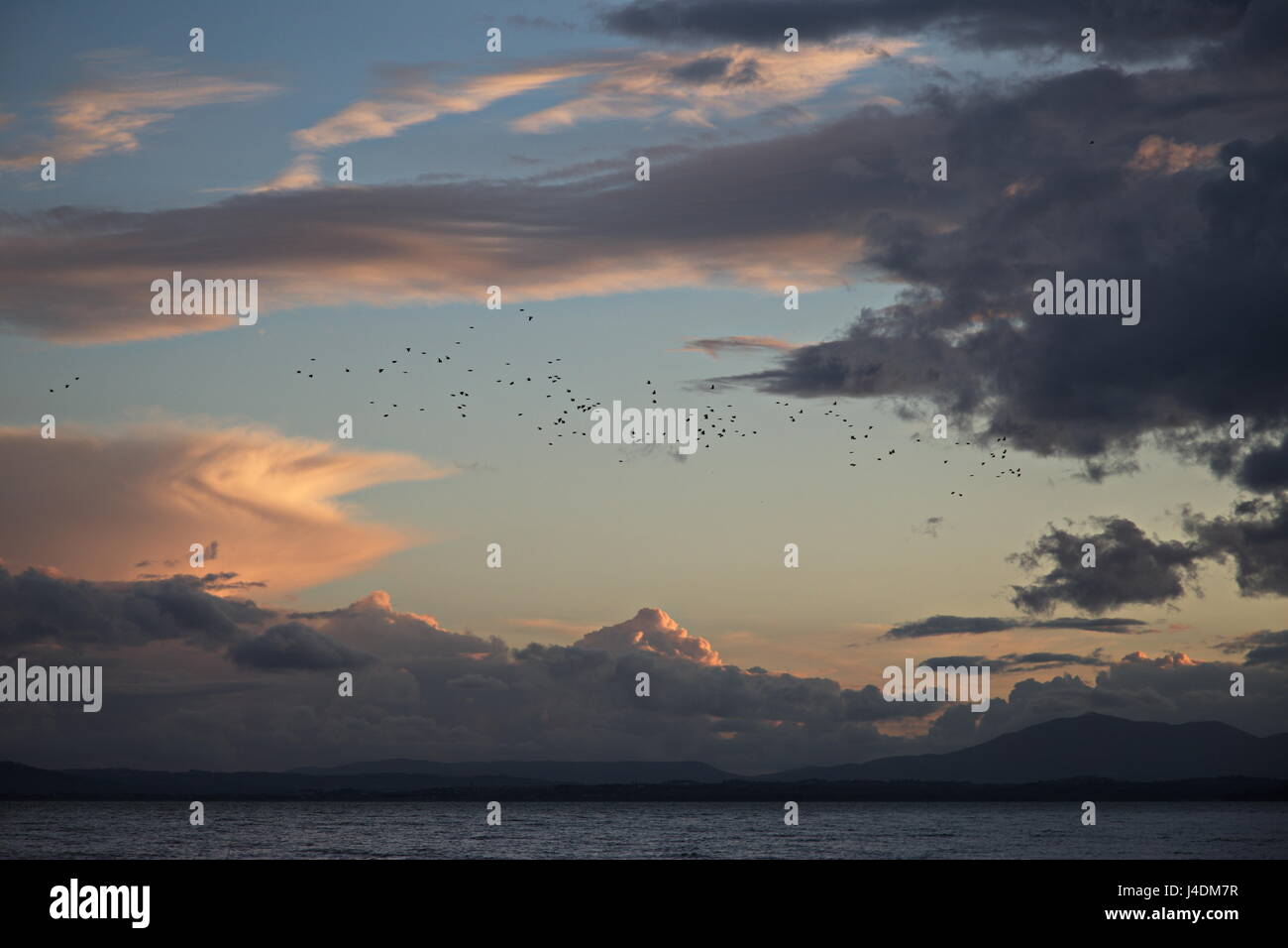 Un troupeau d'oiseaux au-dessus d'un lac, au milieu d'un beau coucher du soleil à cloudscape Banque D'Images