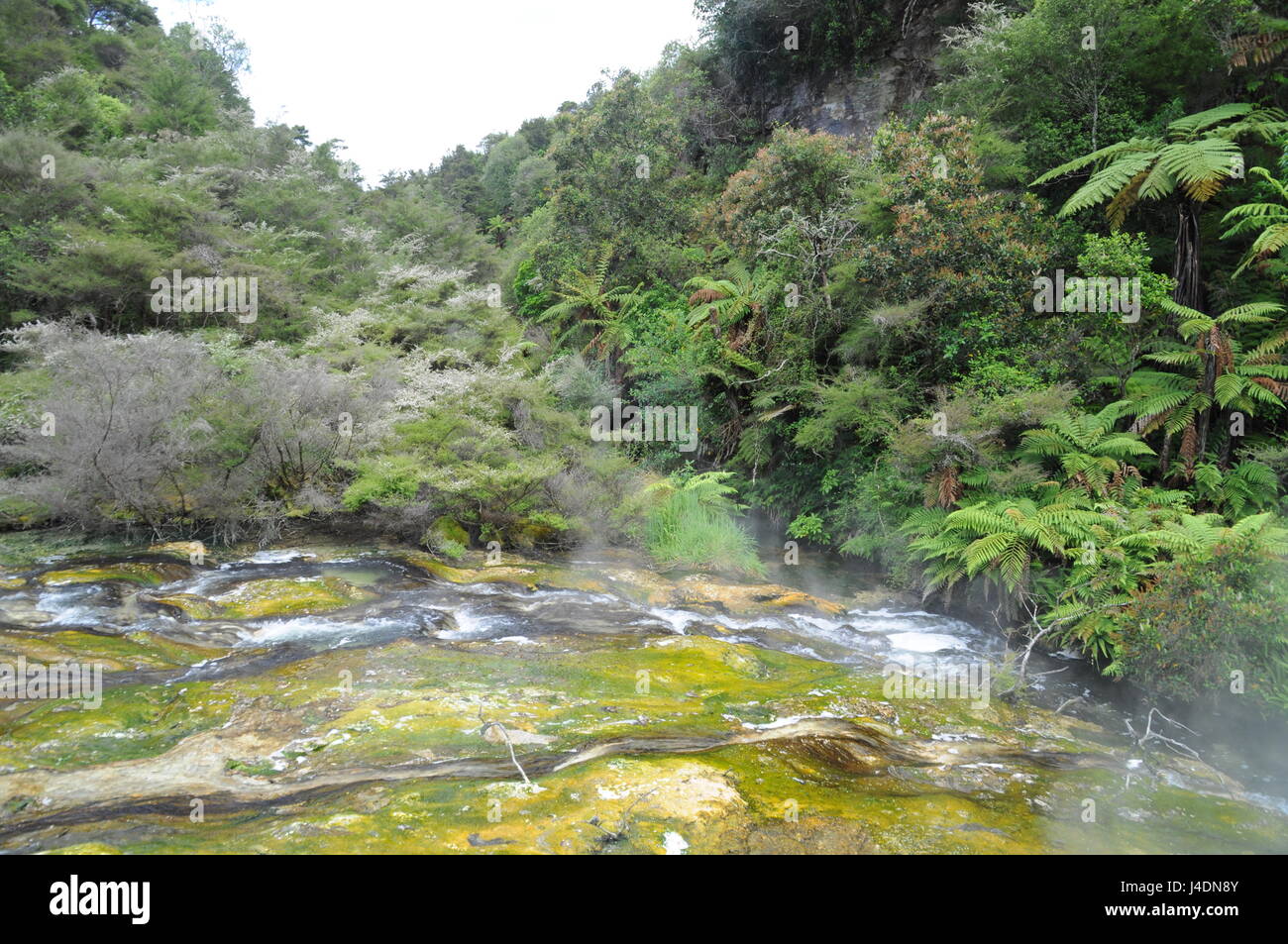 Nouvelle-zélande - - Waimangu paysages étonnants ! Banque D'Images