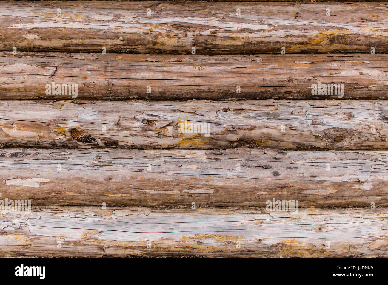 Fragment de la maison en bois rustique log mur fissuré. Maison rurale log mur texture de fond. Banque D'Images