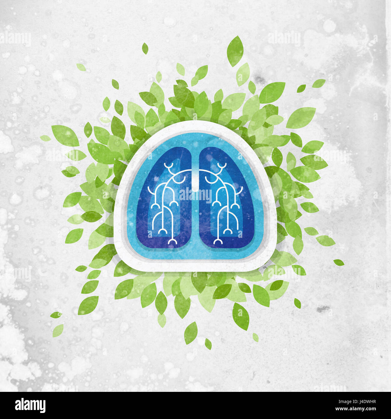 Les poumons et les feuilles Illustration, concept de santé Banque D'Images