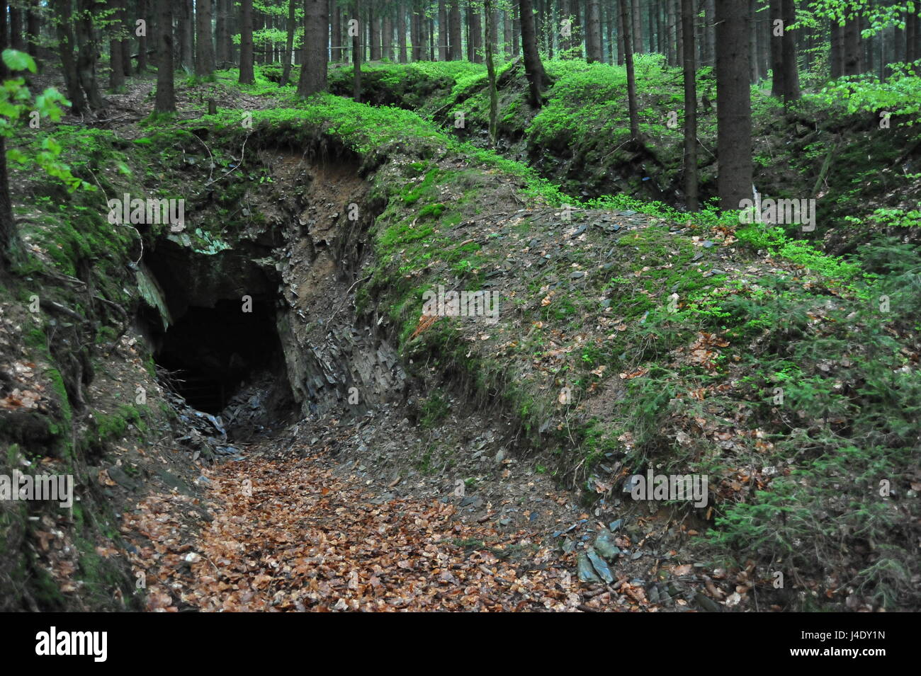 Stollen Thüringer Wald, Deutschland im Banque D'Images