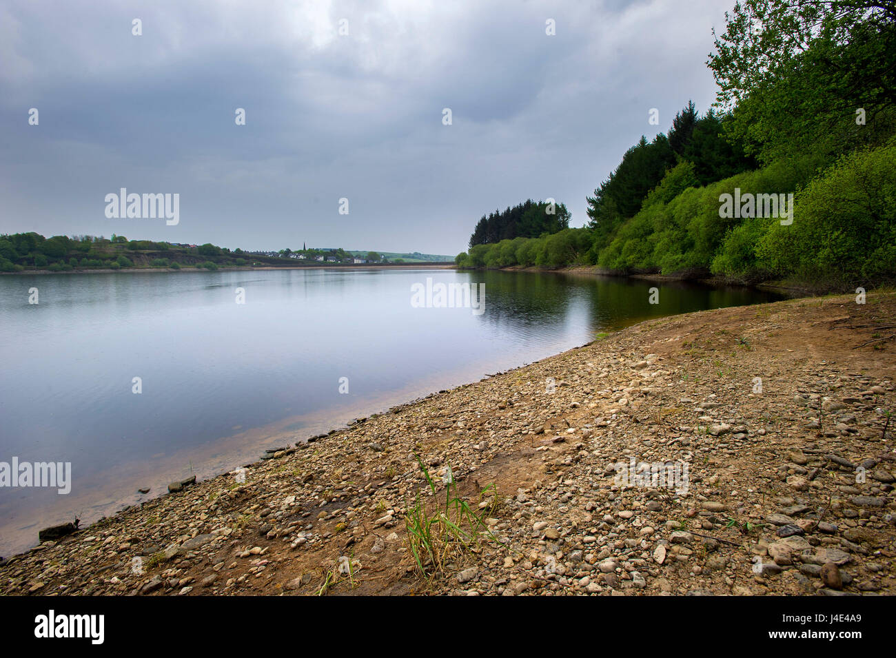 Blackburn, Lancashire, Royaume-Uni. 12 mai, 2017. La pluie arrive bien nécessaire dans le nord-ouest de l'Angleterre que de très faibles niveaux d'eau à l'United Utilities' Réservoir Wayoh près de Bolton, Lancashire, sont dans le besoin de reconstituer. Photo par Paul Heyes, vendredi 12 mai, 2017. Crédit : Paul Heyes/Alamy Live News Banque D'Images