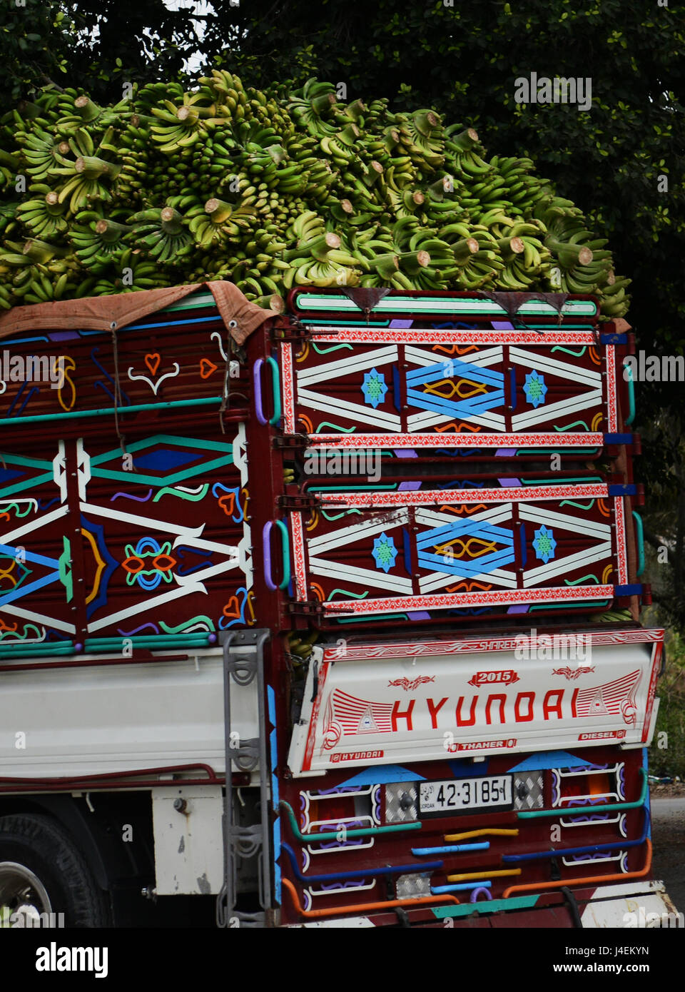 Les bananes fraîches récoltées à partir de la vallée du Jourdain en Jordanie transportés vers les marchés à Amman. Banque D'Images