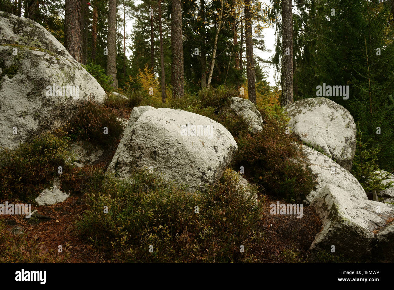 Gros rocher rochers en forêt le long de Schlüchtsee,Sud, Parc Naturel de la forêt Bloc-Grafenhausen, Allemagne Banque D'Images