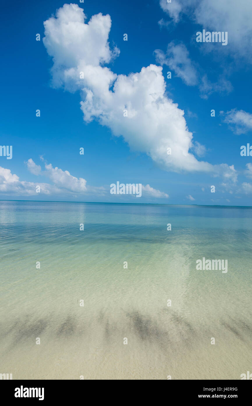 Les eaux turquoise et plage de sable blanc, Ouvéa, Îles Loyauté, Nouvelle-Calédonie, Pacifique Banque D'Images