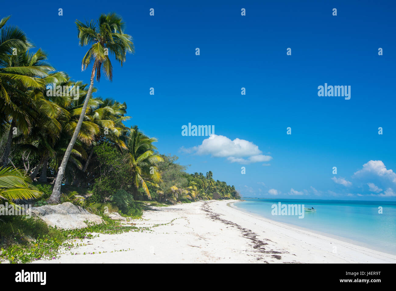 Les eaux turquoise et plage de sable blanc, Ouvéa, Îles Loyauté, Nouvelle-Calédonie, Pacifique Banque D'Images
