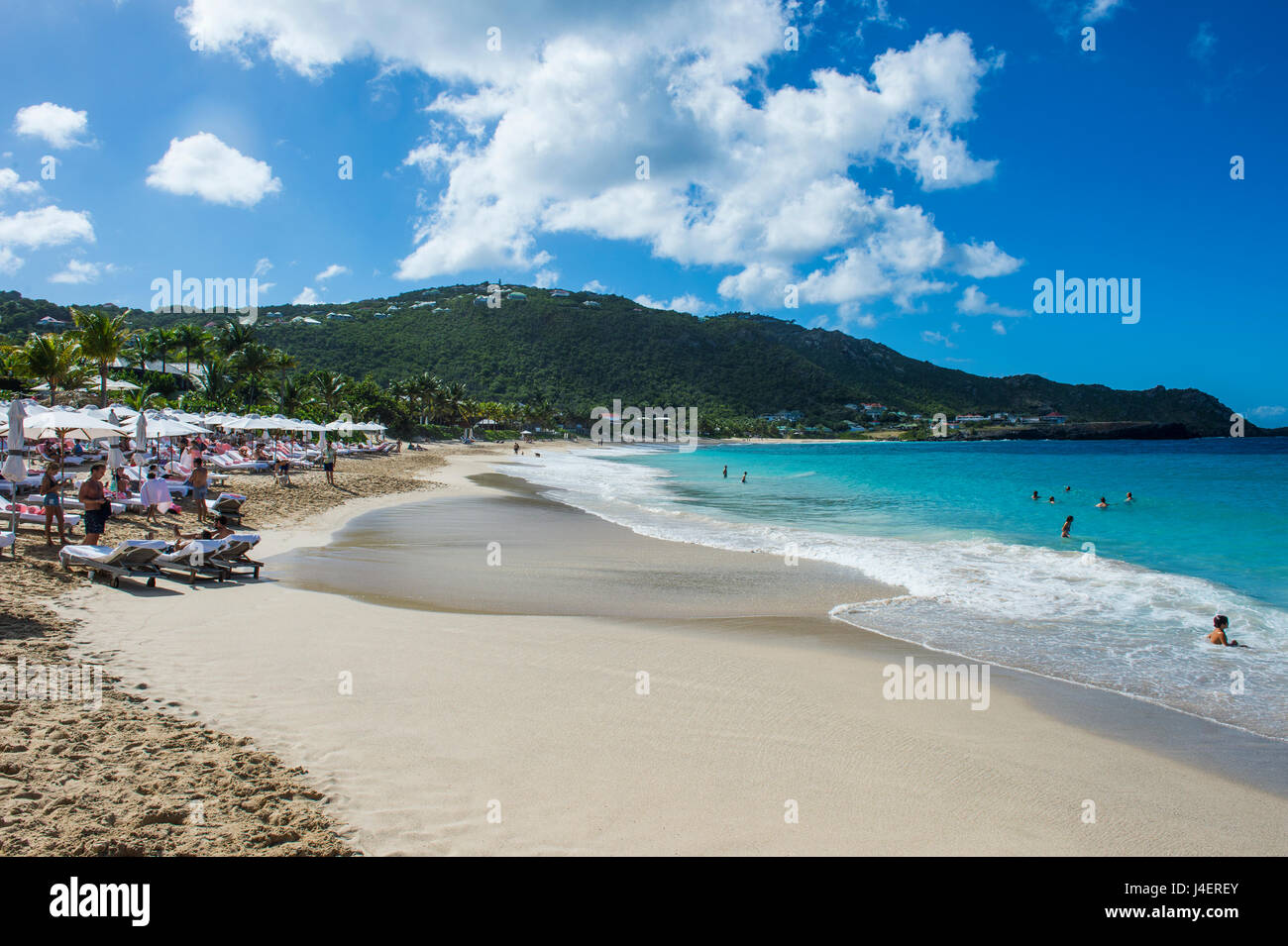 Flamand Plage, St Barth (Saint Barthelemy), Petites Antilles, Antilles, Caraïbes, Amérique Centrale Banque D'Images