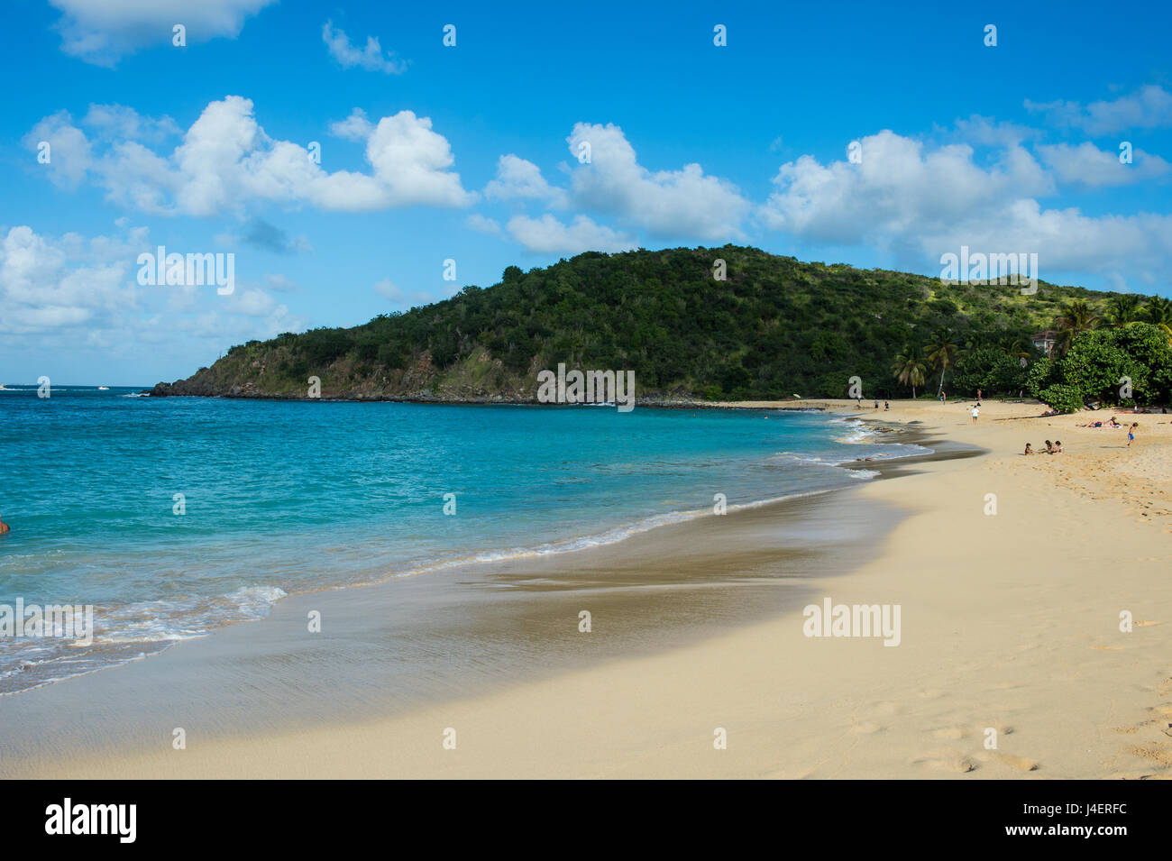 Happy Bay Beach, Saint Martin, territoire français, Antilles, Caraïbes, Amérique Centrale Banque D'Images