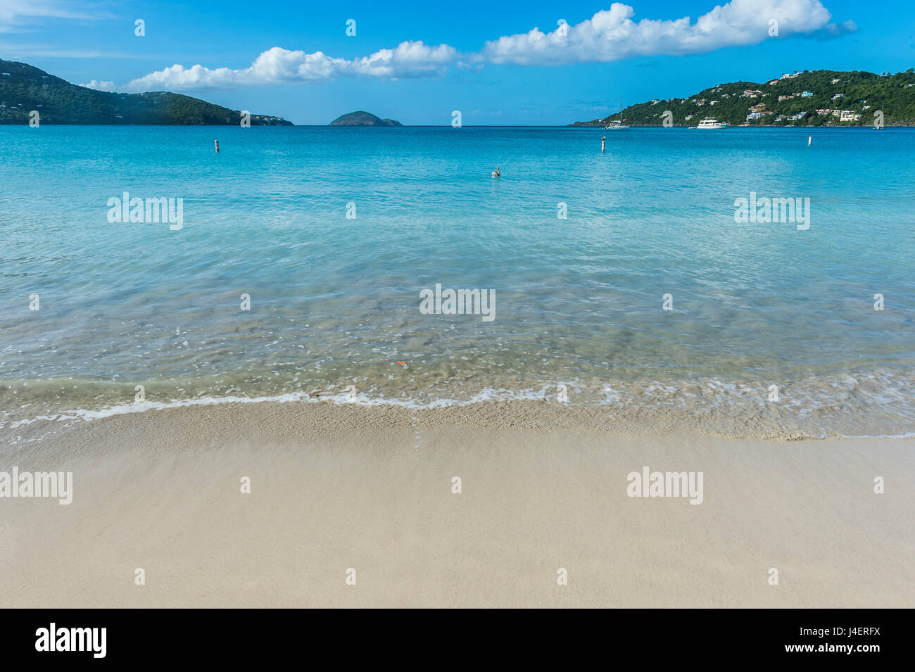 Magens Bay Beach, St Thomas, îles Vierges britanniques, Antilles, Caraïbes, Amérique Centrale Banque D'Images