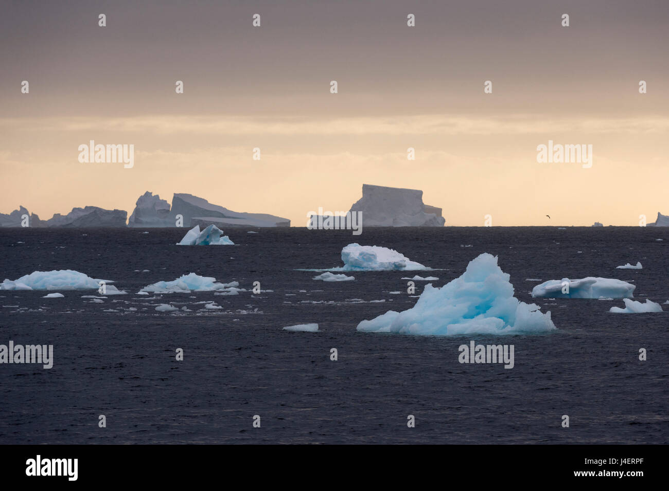 Les icebergs, Canal Lemaire, l'Antarctique, régions polaires Banque D'Images
