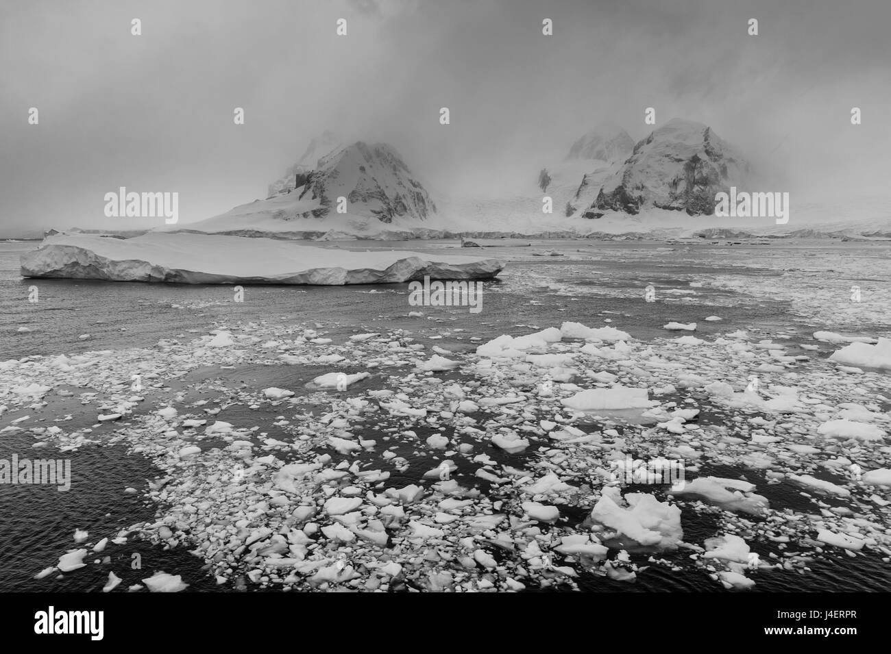 Les icebergs dans l'Antarctique, Canal Herrera, régions polaires Banque D'Images