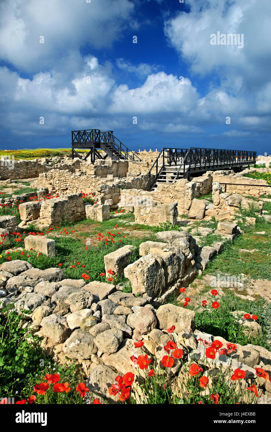 La "maison de Thésée" au Parc archéologique de Paphos (l'UNESCO World Heritage Site) Chypre. Banque D'Images