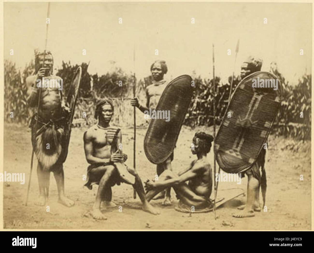 Cette entrée fait référence à une œuvre de Richard Buchta, peut-être une photographie ou une illustration représentant des hommes zandes. Le peuple zande est un groupe ethnique d'Afrique centrale, connu pour ses boucliers distinctifs et ses instruments de musique comme la harpe. Banque D'Images