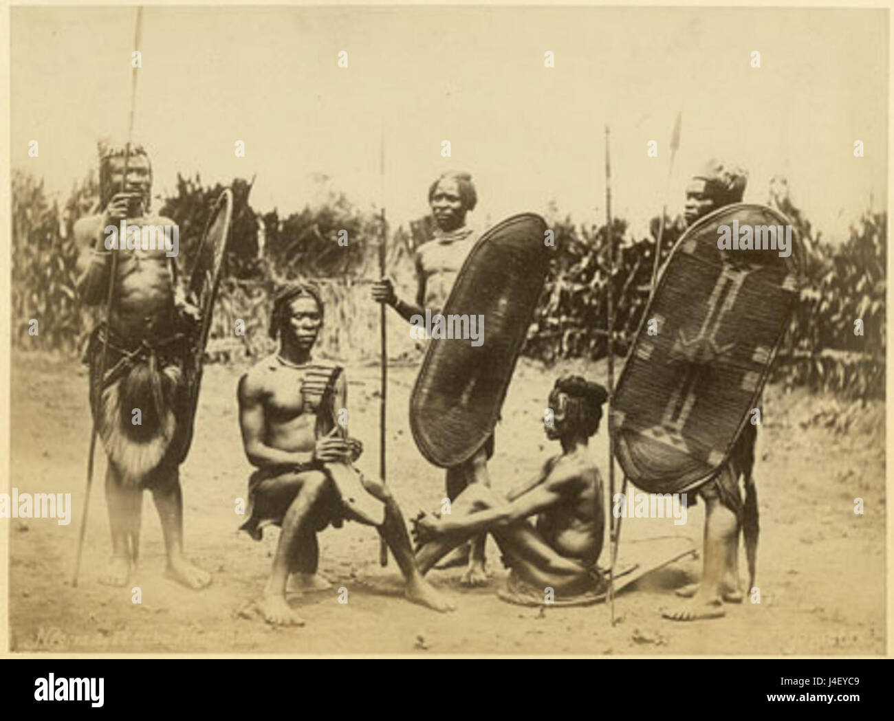 Richard Buchta Zande hommes avec shields harp Banque D'Images