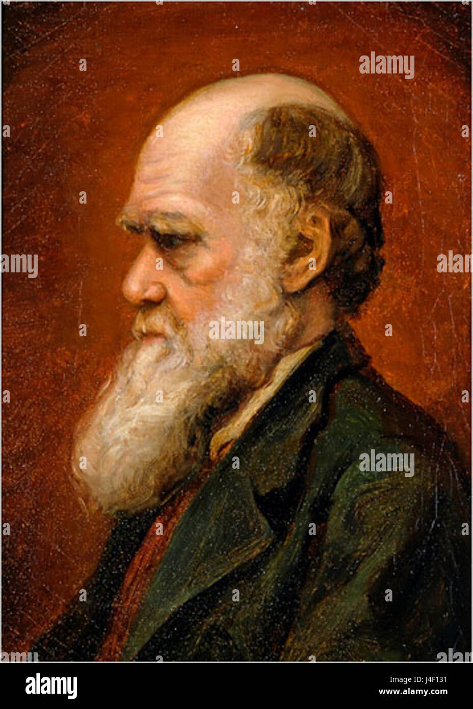 Ce portrait de Charles Darwin, réalisé par Laura Russell en 1869, capture le naturaliste et biologiste britannique de renom. Darwin est surtout connu pour sa théorie de l'évolution par sélection naturelle, un point de repère dans le domaine de la biologie. Banque D'Images