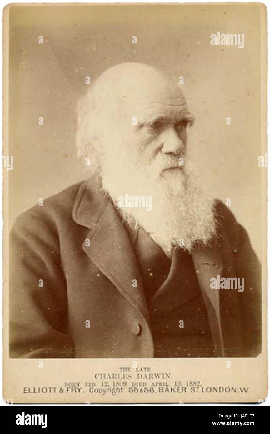 Photographie par Charles Darwin Elliott et Fry vers 1875 Banque D'Images