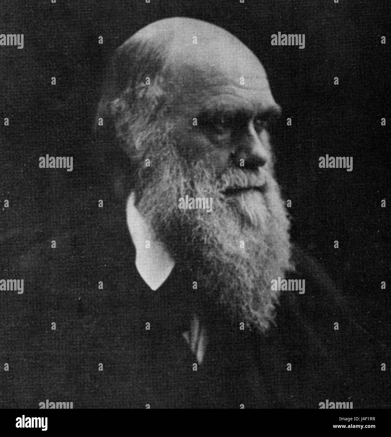Cette photographie, prise par Julia Margaret Cameron en 1869, met en scène Charles Darwin, naturaliste anglais de renom. Les travaux de Darwin sur l'évolution et la sélection naturelle ont révolutionné la biologie et restent fondamentaux dans les études scientifiques d'aujourd'hui. Banque D'Images