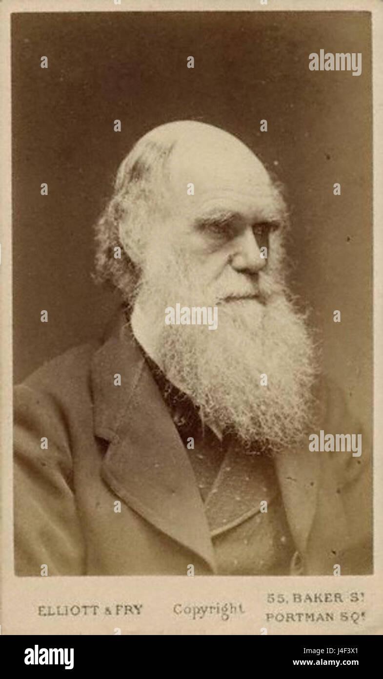Photographie par Charles Darwin Elliott et Fry 1874 Banque D'Images