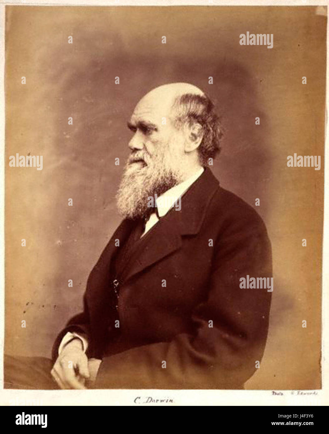 Photographie de Charles Darwin, prise par Ernest Edwards vers 1866. Darwin, connu pour sa théorie révolutionnaire de l'évolution, a influencé de manière significative la biologie et les sciences naturelles à travers ses études et ses publications. Banque D'Images