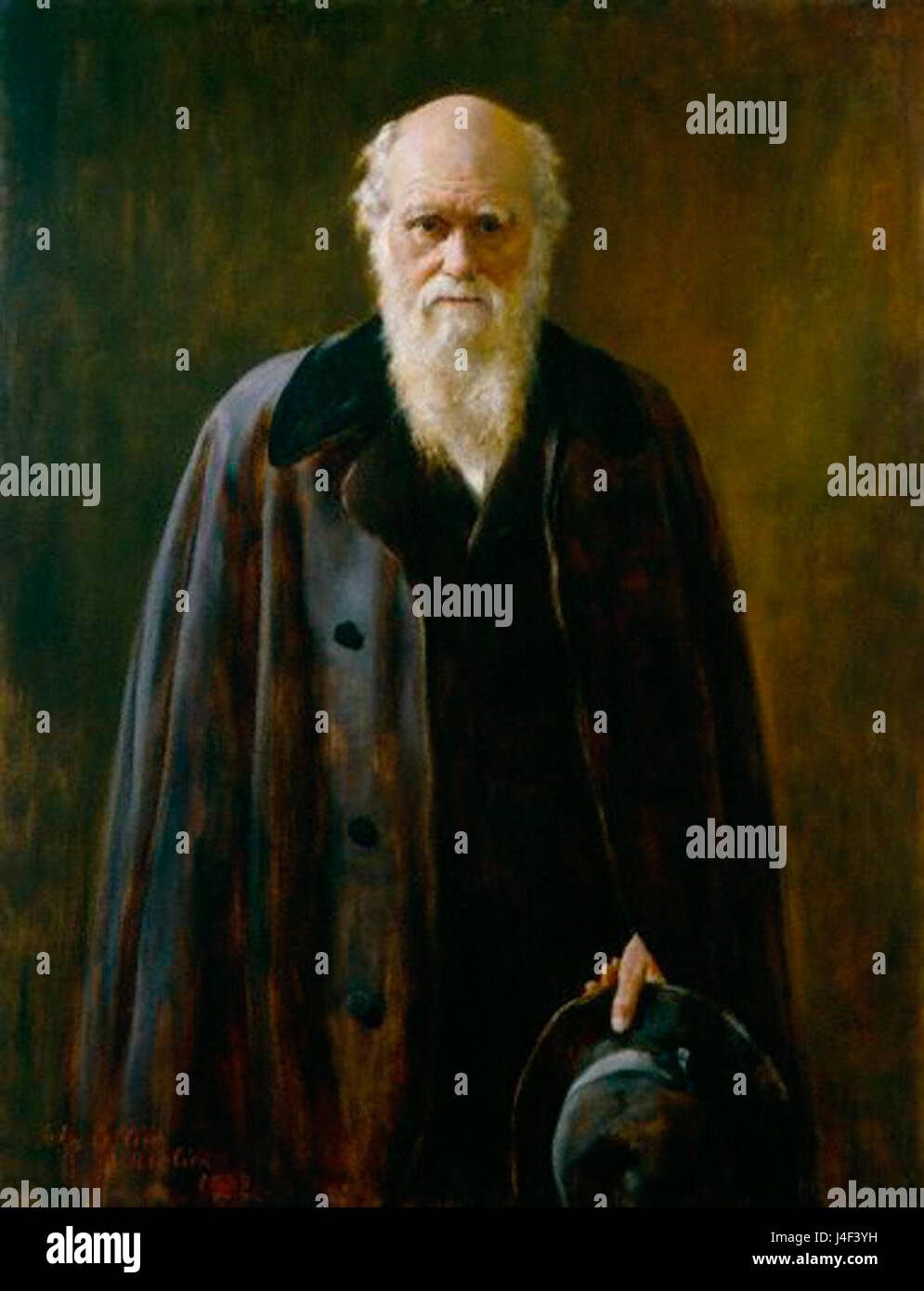 Ce portrait de Charles Darwin, réalisé par John collier en 1883, représente le naturaliste renommé connu pour sa théorie de l'évolution. La peinture reflète la présence intellectuelle de Darwin et sa contribution significative à l'étude de la biologie et des sciences naturelles. Banque D'Images
