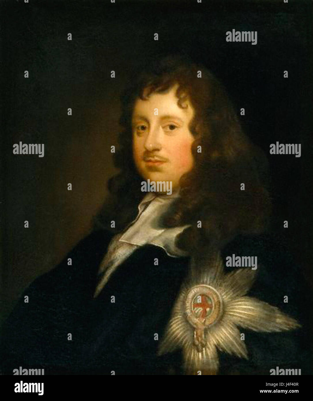 Montagu sandwich Banque de photographies et d’images à haute résolution