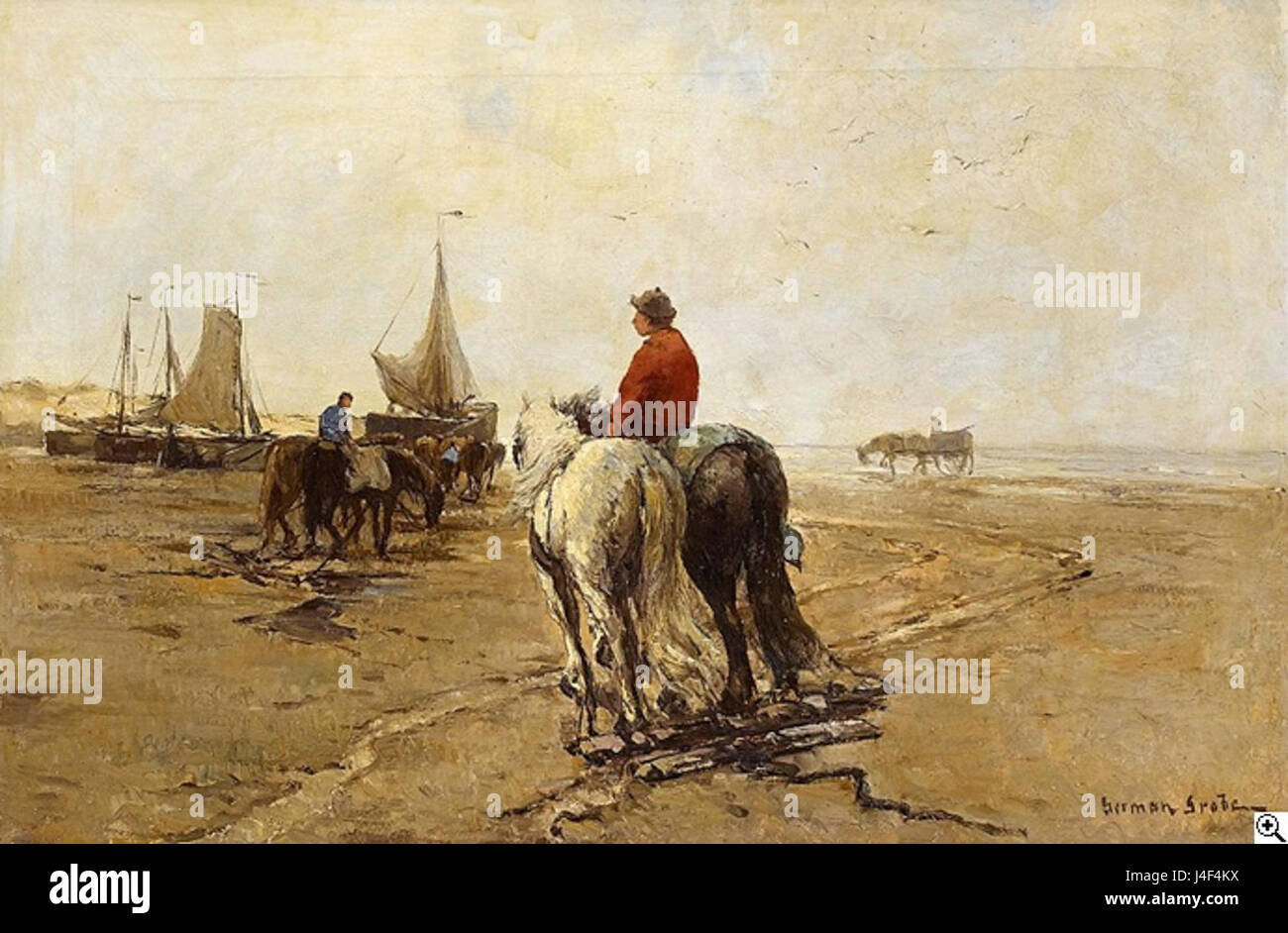 Grobe Krabbengischer Banque D'Images