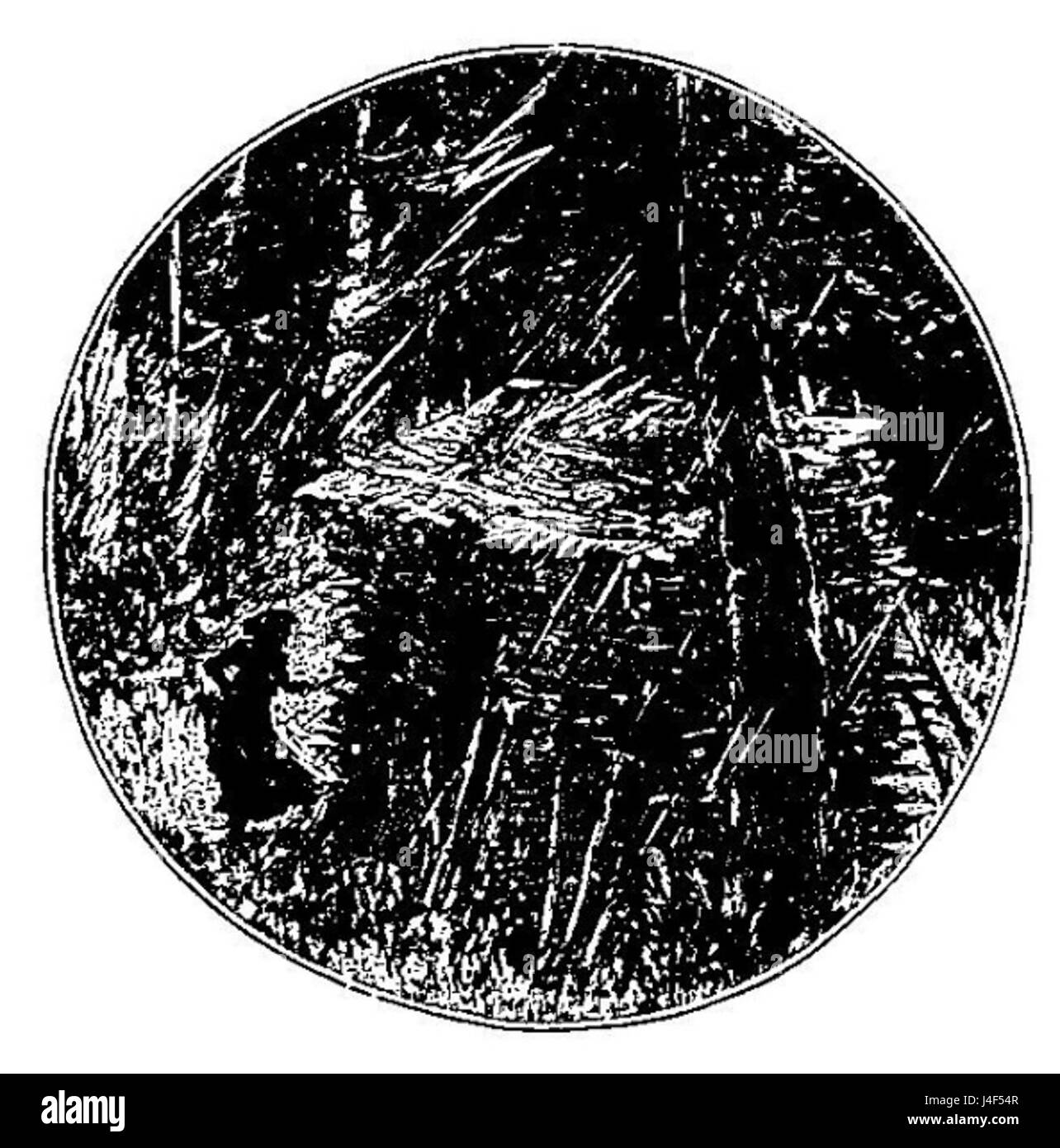 Malot En famille 1893 p109 Banque D'Images