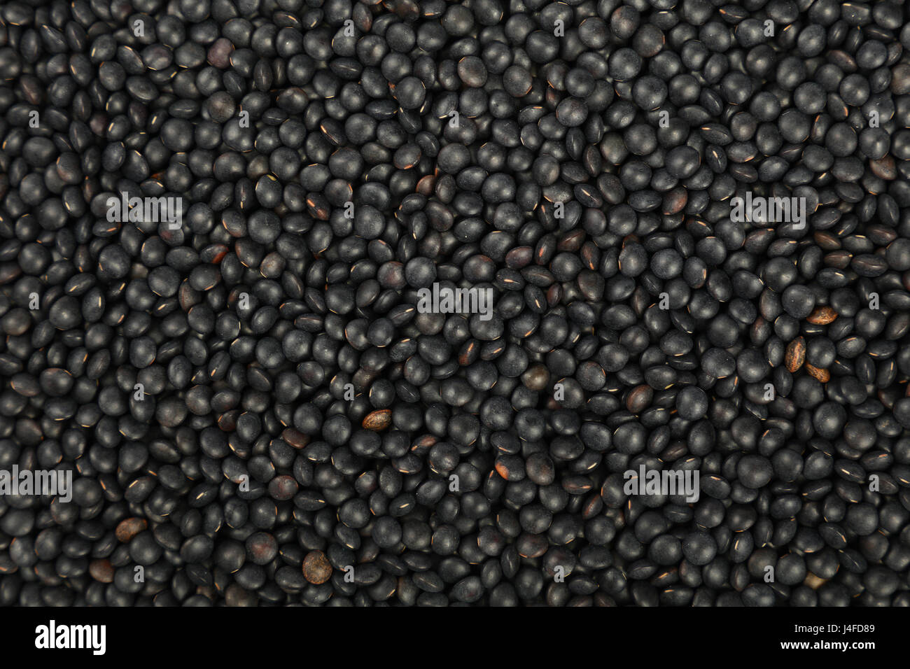 Lentille lentilles beluga noir close up motif de fond, augmentation de la vue supérieure Banque D'Images
