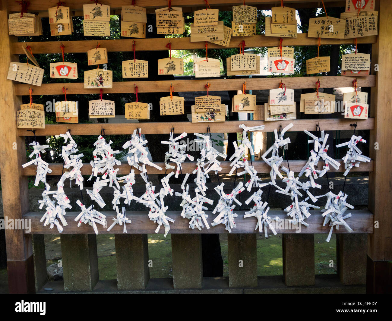 Mikuji ema et plaques votives dans un temple shintoïste Banque D'Images