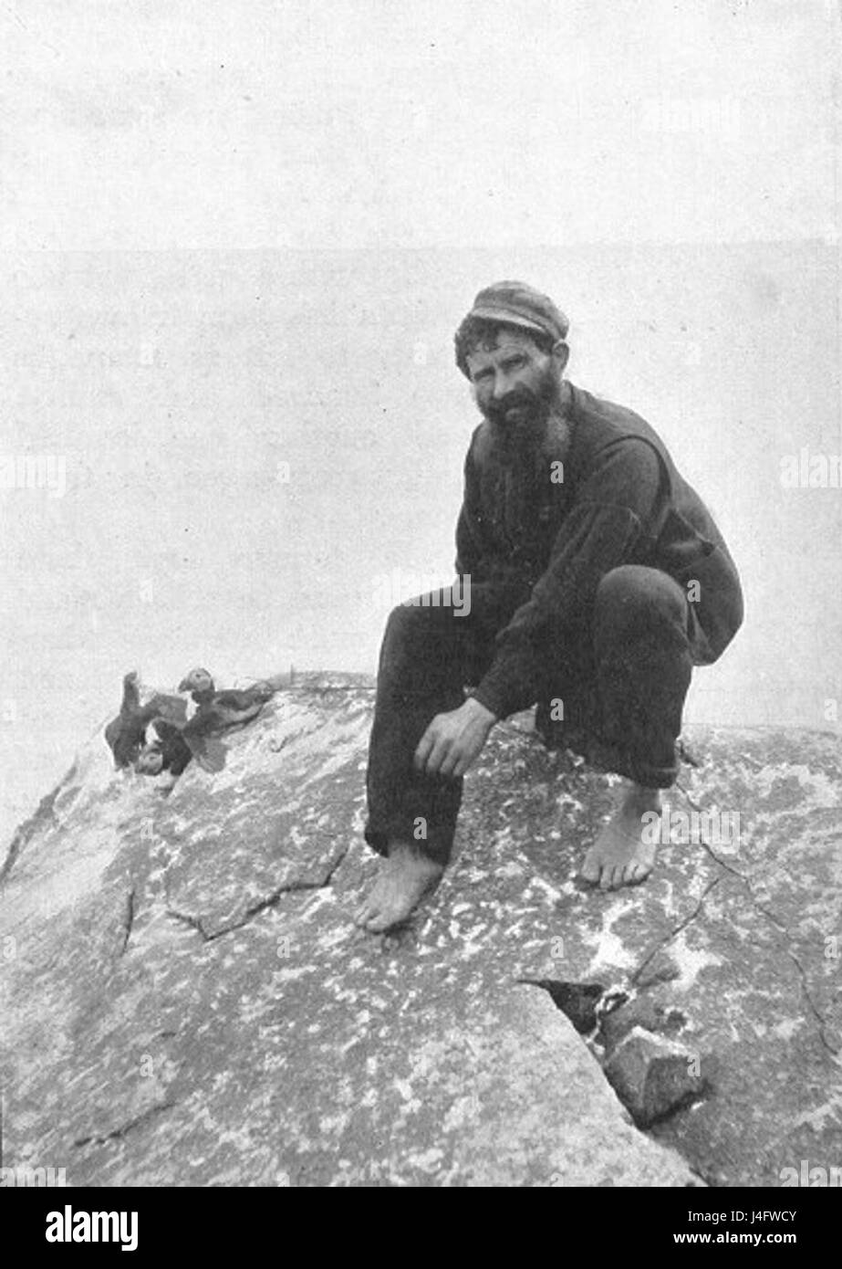 Ce titre fait probablement référence aux macareux observés en chasse ou en recherche de nourriture dans l'archipel de St Kilda, une partie reculée de l'Écosse connue pour sa faune et sa beauté naturelle, en particulier les oiseaux de mer. Banque D'Images