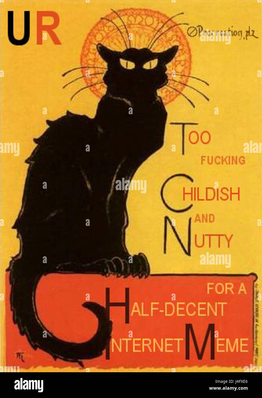 Steinlein LOLCAT chatnoir Banque D'Images