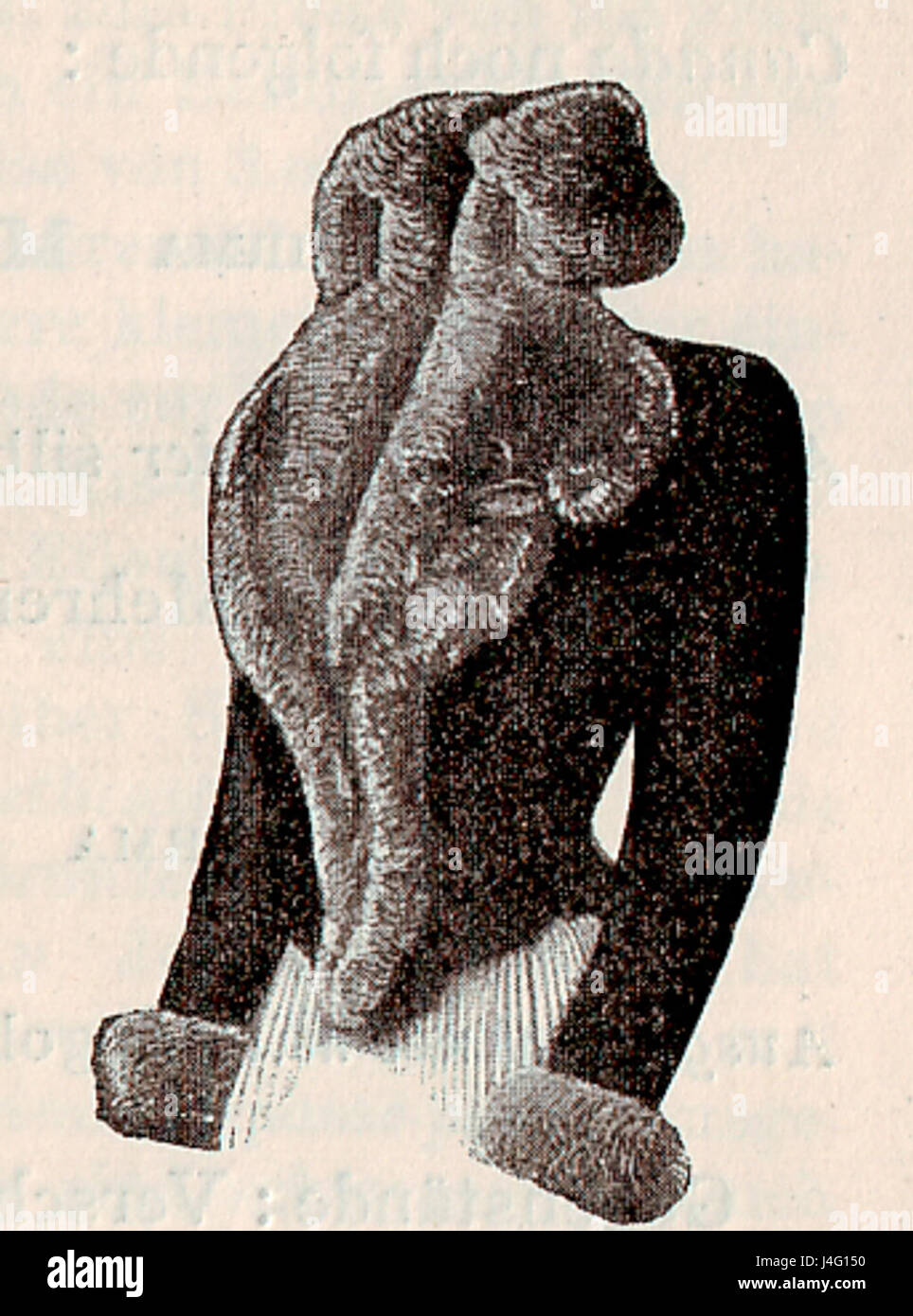 Un vêtement historique de 1900, une veste en peau de fourrure de phoque avec fourrure de chinchilla. L'article reflète la mode et les matériaux utilisés dans la tenue vestimentaire du début du XXe siècle. Banque D'Images