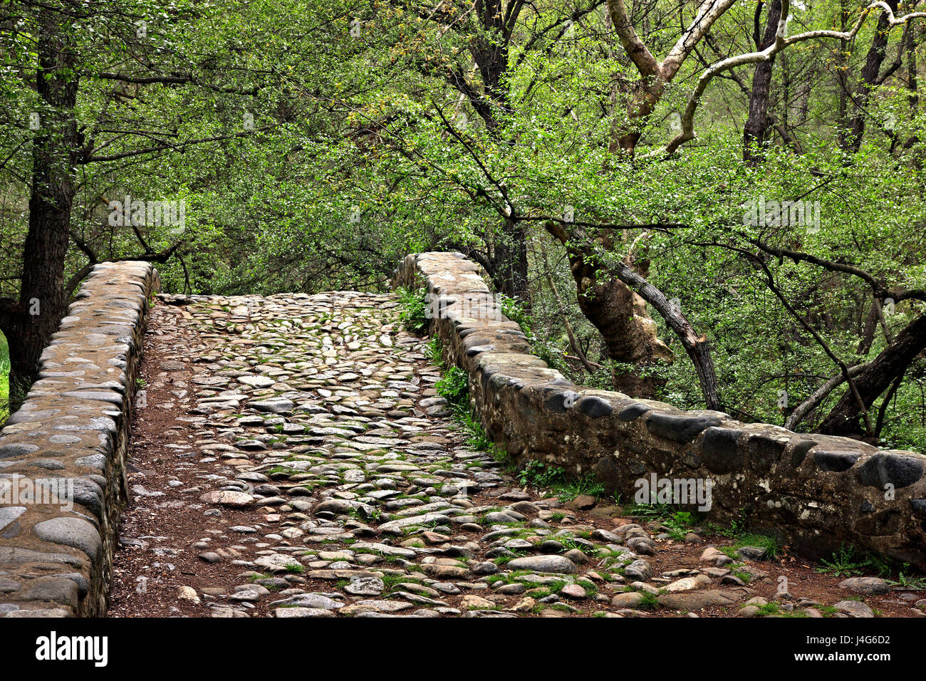 L'ancien pont vénitien de Kelefos (ou 'Tzielefos'), entre Agios Nikolaos et Platres villages, montagnes de Troodos, district de Lemesos Chypre. Banque D'Images