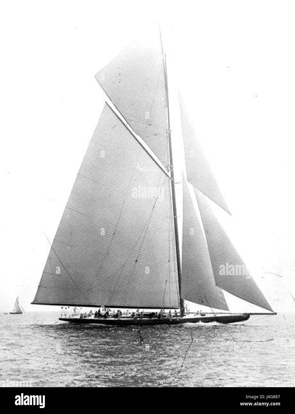 ShamrockIV Banque D'Images