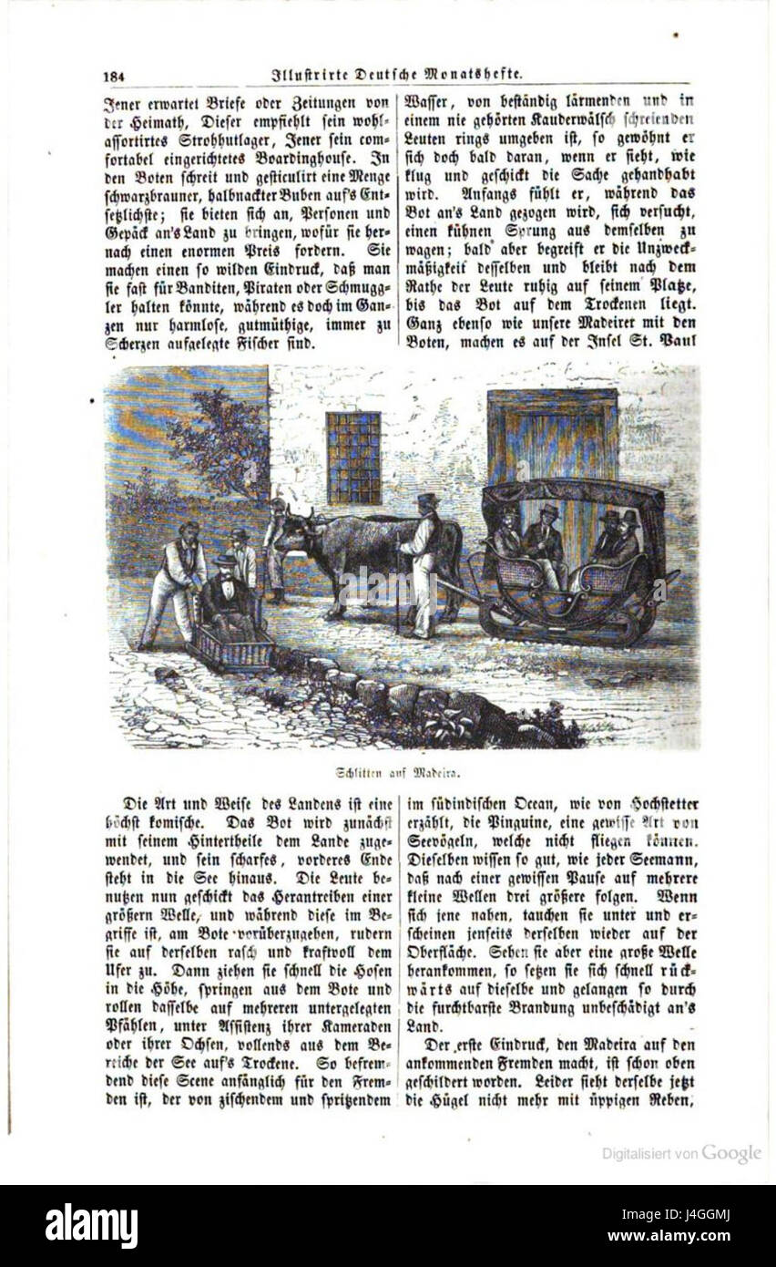 Schlitten auf Madeira fait référence à la luge sur l'île de Madère, un archipel portugais connu pour son relief montagneux. L'activité est rare en raison du climat subtropical de l'île, bien qu'elle reflète le riche patrimoine culturel de l'île. Banque D'Images