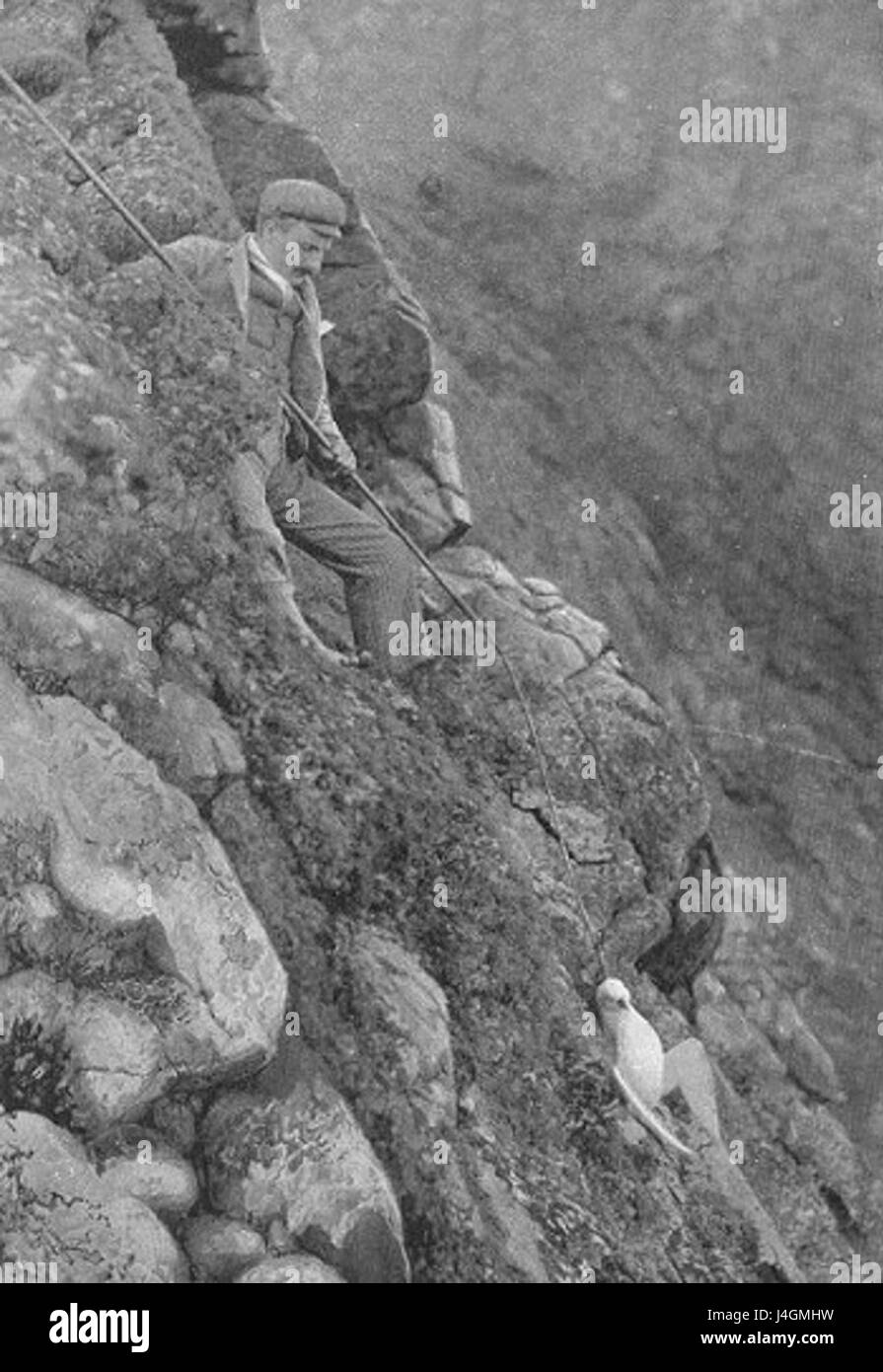 La chasse de St Kilda Banque D'Images