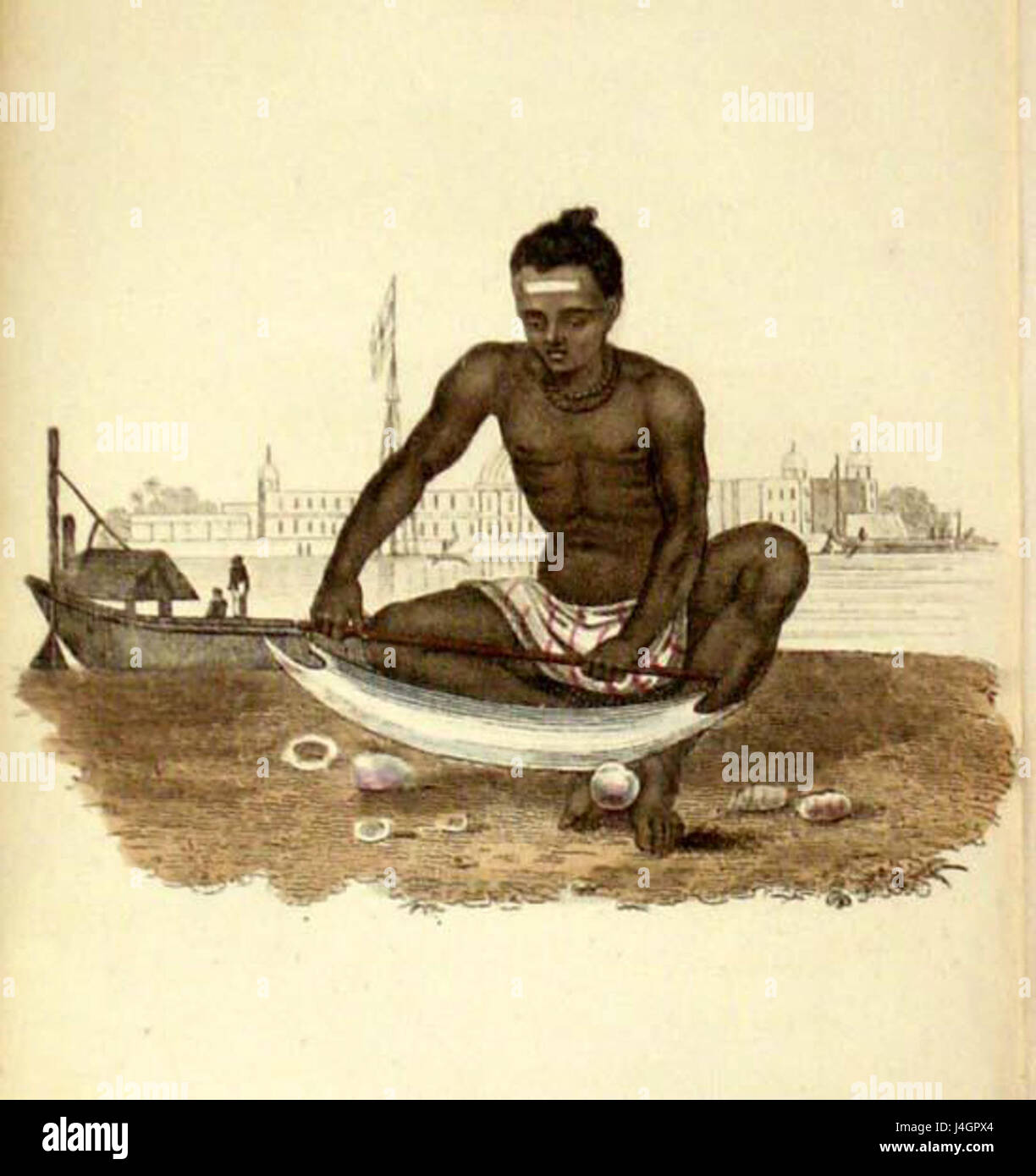 Un shellcutter est un outil spécialisé utilisé pour couper à travers les coquilles extérieures dures des organismes marins. Il est couramment utilisé dans la récolte des mollusques et autres industries marines, où la précision est essentielle pour extraire les portions comestibles des coquilles. Banque D'Images