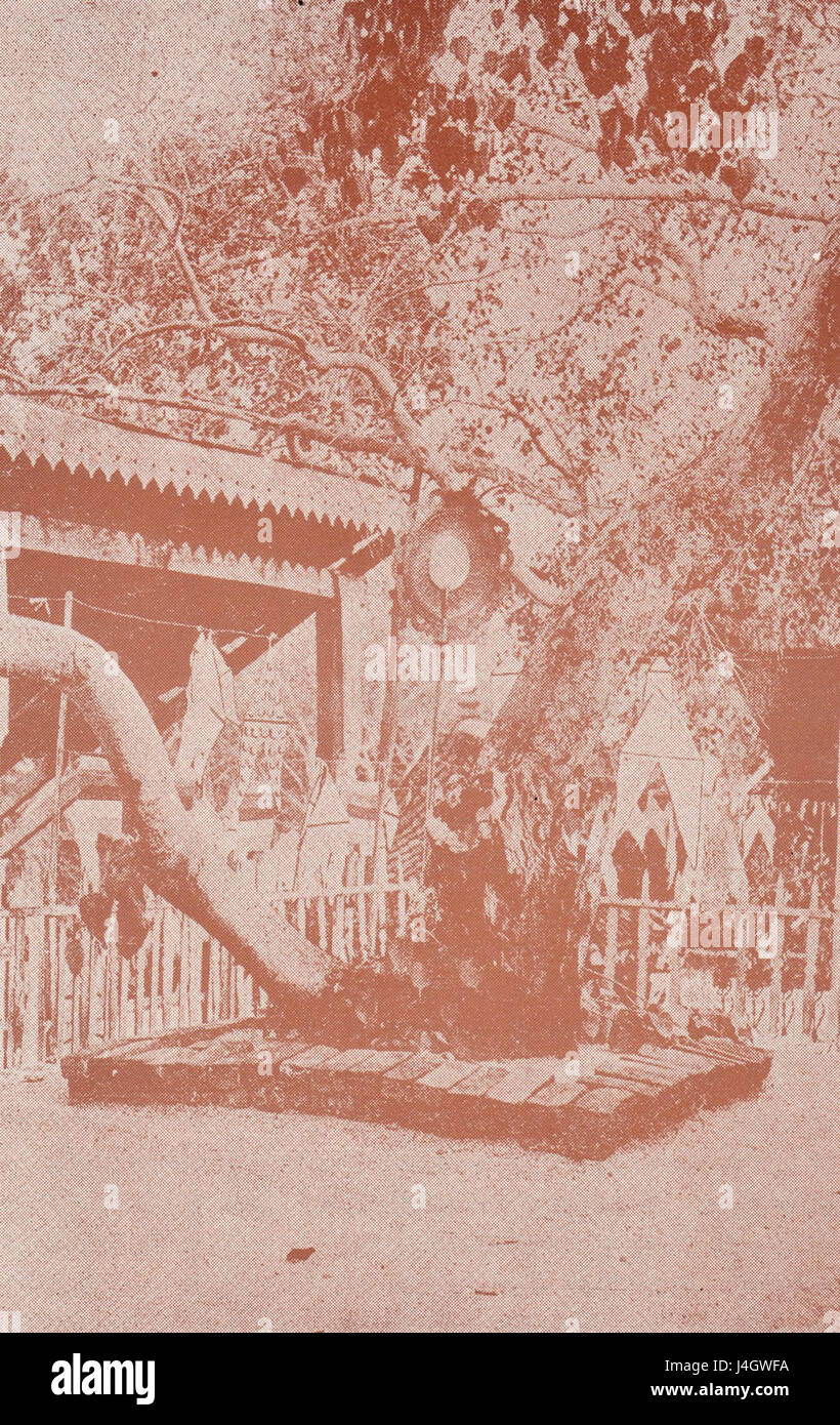 Jaya sacré Sri Maha Bodhi avant c.1913 Banque D'Images