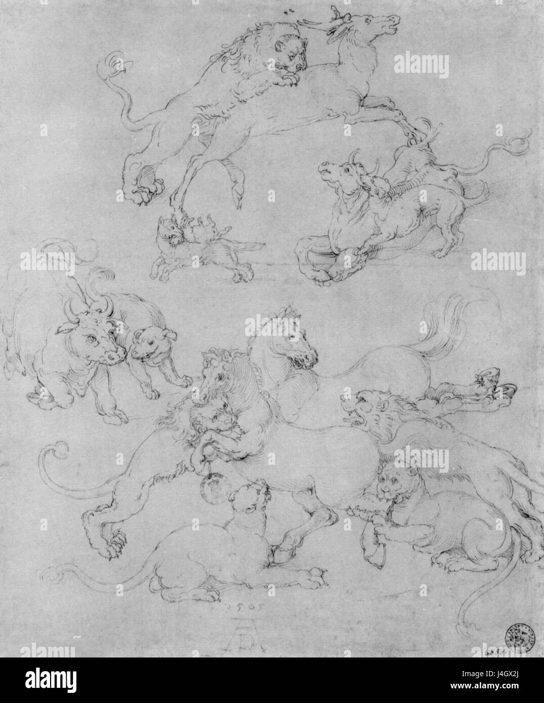 Cette fiche d'étude présente des images d'animaux qui ont été attaqués, peut-être à des fins éducatives. La feuille sert d'étude anatomique ou biologique des effets de telles attaques sur les animaux. Banque D'Images