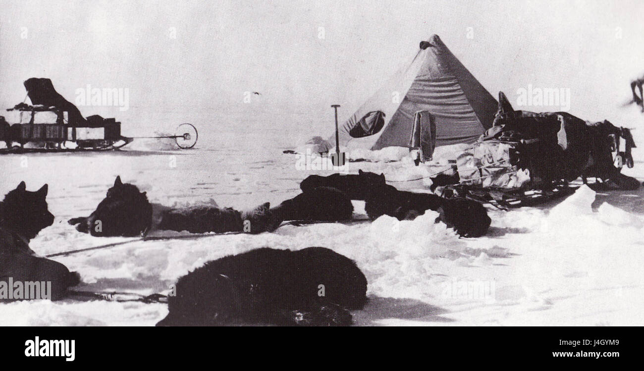 Camp temporaire de l'expédition Terra Nova Banque D'Images