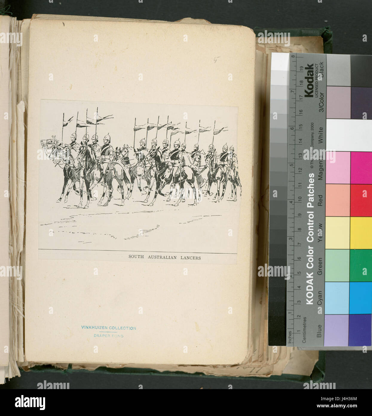 Cette image montre les Lancers d'Australie méridionale, une unité militaire historique d'Australie méridionale, connue pour son service au cours du XIXe siècle et du début du XXe siècle. Banque D'Images
