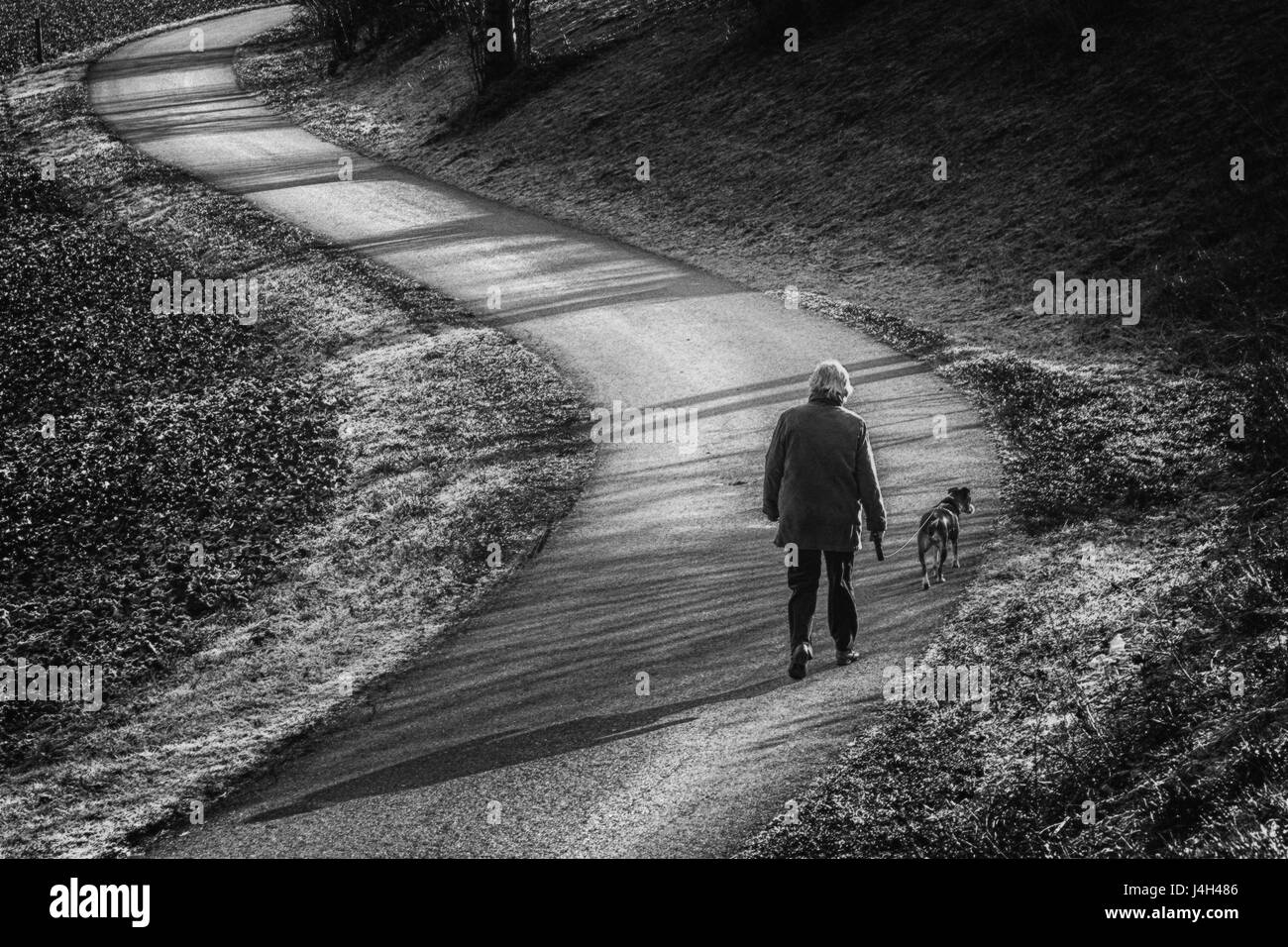 Promenade avec le chien - artistique photo en noir et blanc. Banque D'Images