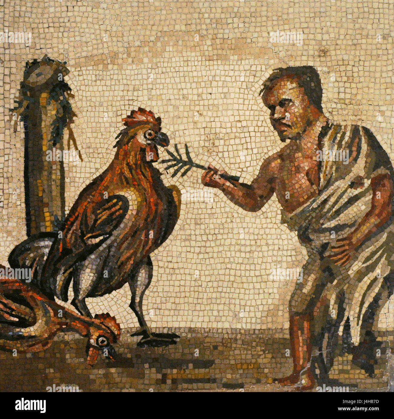 Dwarf et coq. Mosaïque romaine. À partir de la région près de Vésuve. 1er siècle. L'Italie. Musée Archéologique National. Naples. L'Italie. Banque D'Images