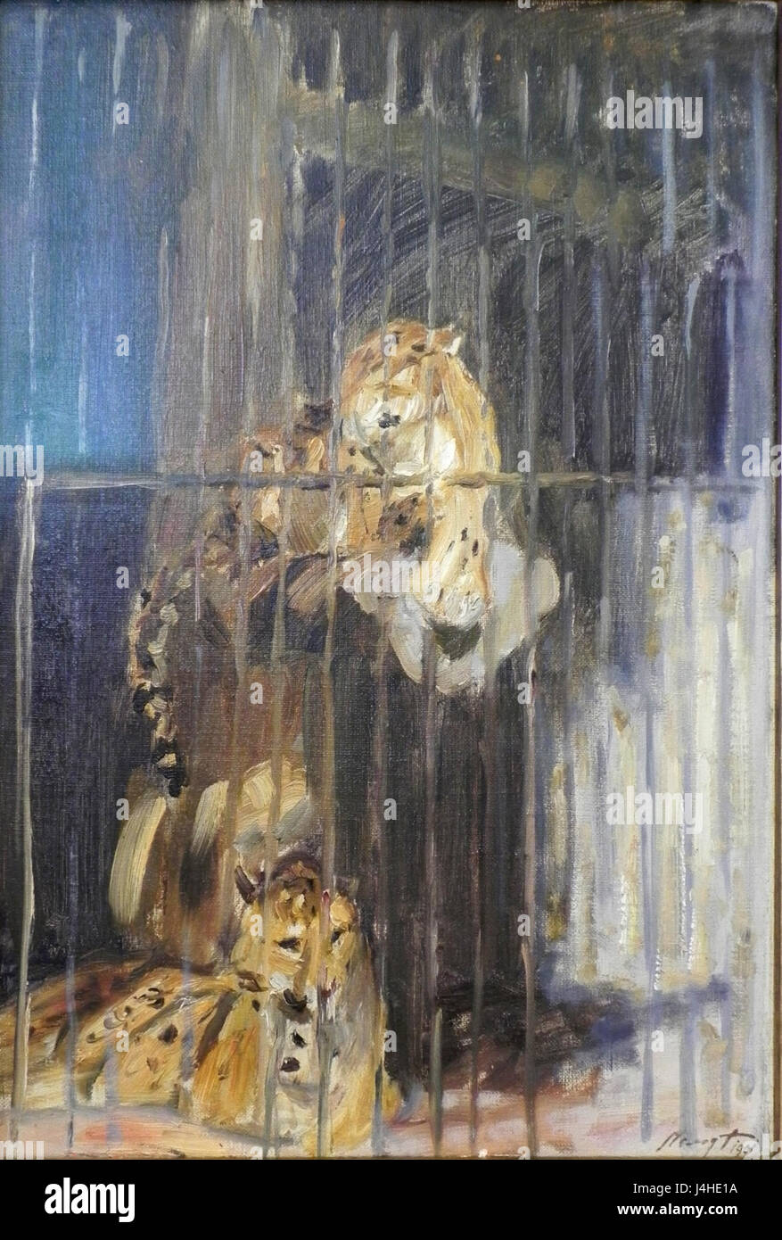Slevogt Zwei Leoparden Banque D'Images
