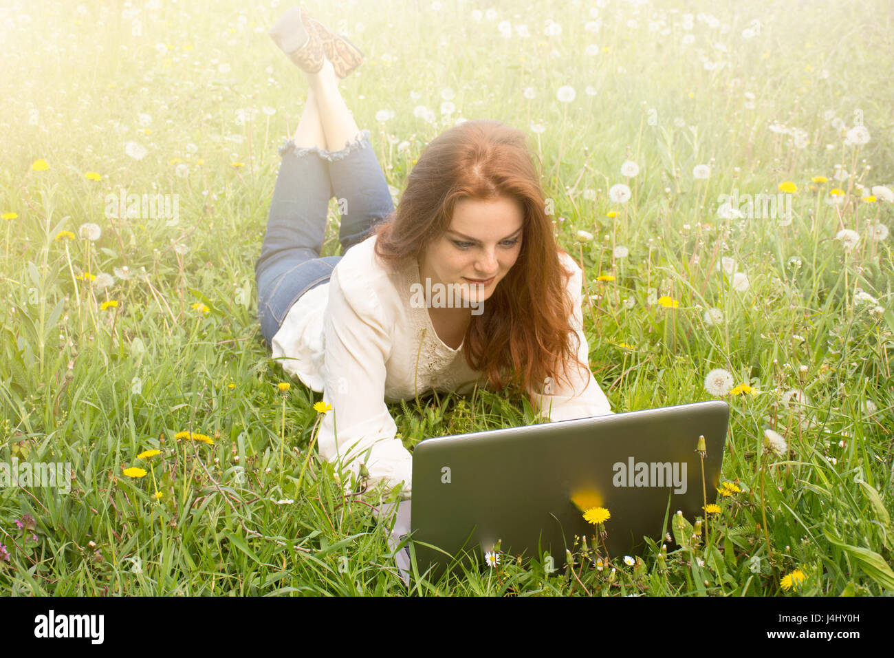 Redhead woman using laptop in le parc étendu sur l'herbe verte. Banque D'Images