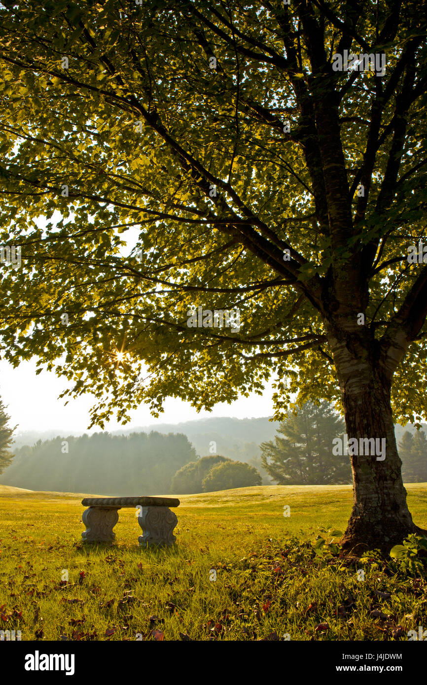 En vertu de l'arbre en automne banc on golf course Banque D'Images