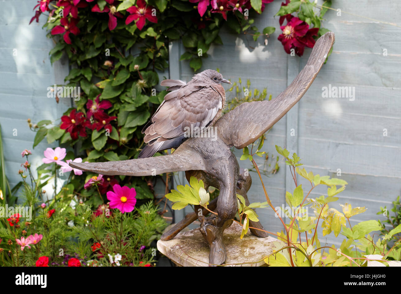 Assis sur un pigeon dans le jardin d'oiseaux en laiton Banque D'Images